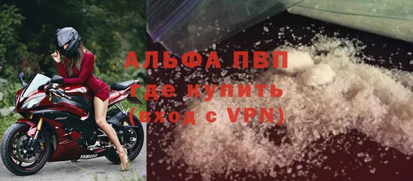 стаф Абаза