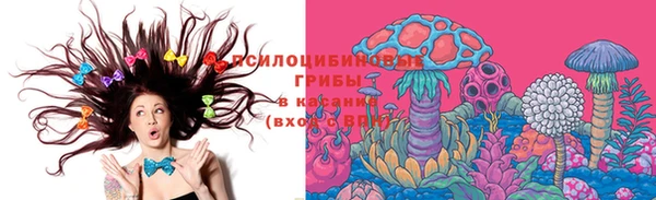 стаф Абаза