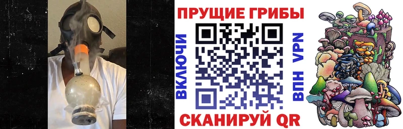 Галлюциногенные грибы Magic Shrooms купить цена Ковдор
